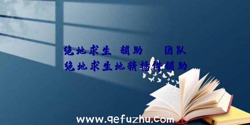 「绝地求生+辅助+wm团队」|绝地求生地精插件辅助